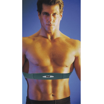 Picture of HR-01 POLAR GÖGÜS BANDI      - Voit 